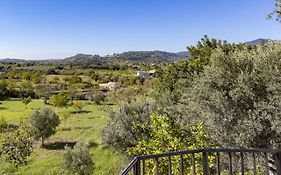 Villa Sa Tramuntana